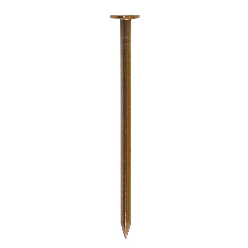 DAIDOHANT 10186694 Copper Nails, Flat Head/Straight, Nominal Diameter: 0.1 inches