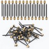 Bonsicoky Picture Hanging Nails, Black Steel Nails and Brass Head