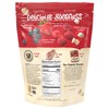 Nature's Path Organic Summer Berries Granola, 11 oz (Pack of
