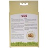 Living World Hamster Fluff, 1-Ounce