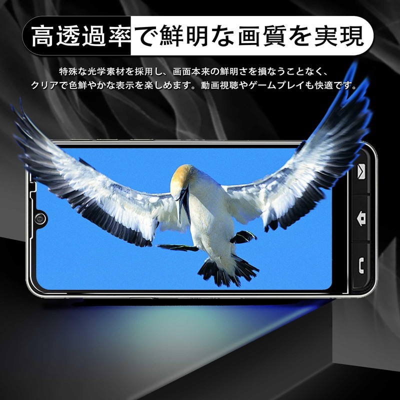 Nutmeg Compatible BASIO active2 Glass Film Film for BASIO active2