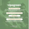 Purely Organics LipoGreen 7 en 1 Vinagre de Manzana, L-Carnitina
