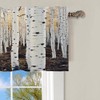 HDESDIS 1 Panel White Birch Tree Valances for Windows, Forest