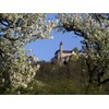 CALVENDO Jigsaw Puzzle Castle Teck of the Owener Steige 1000