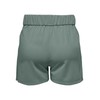 JdY Women's Jdygeggo JRS Noos Shorts, Chinois Green/Detail:black Button, L