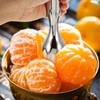 Stainless Steel Citrus Reamer Handheld Lemon Squeezer Reamer - Manual