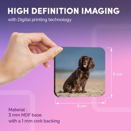 Destination Vinyl ltd Great Coasters (Set of 4) Square - Cocker Spaniel Puppy Dog Drink Glossy Coasters/Tabletop Protection for Any Table Type #12508