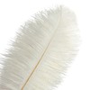 Piokio 20 pcs Natural White Ostrich Feathers 12-14 inch(30-35 cm)