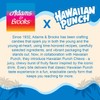 Hawaiian Punch Candy Chews Stand Up Bag 8.75 oz