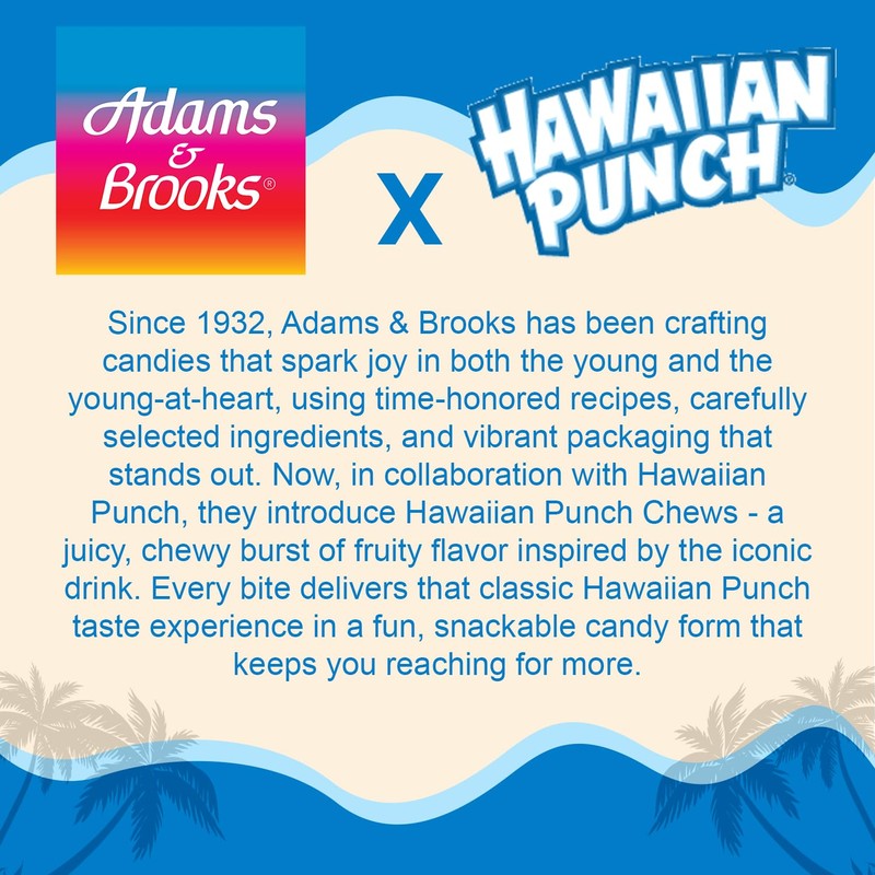 Hawaiian Punch Candy Chews Stand Up Bag 8.75 oz