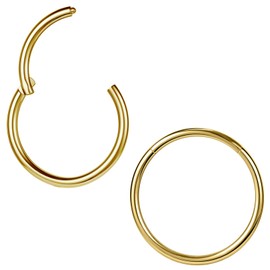 ZS Pack of 2 ASTM F136 Titanium 6/7/8/9/10/12/14 mm Cartilage Tragus Helix Earring Hoop 20G 18G 16G Lip Rings Nose Rings Septum Conch Piercings Jewellery, Titanium