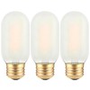 TOKCON T45 LED Light Bulbs 2W 200Lm E26 Base (2700K