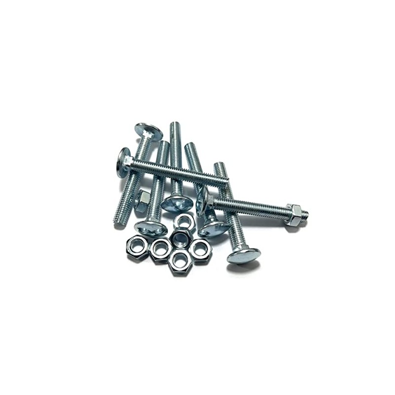 M8 (8mm x 50mm) Cup Square Carriage Bolt and Nut