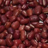 Adzuki Bean - Doyou - 5 g Packet ~35 Seeds