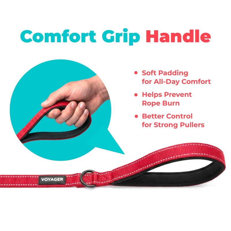 Best Pet Supplies Voyager Nylon Dog Leash - Red, Small