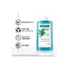 클로란 [각질케어&두피쿨링] 아쿠아민트 딥클렌징 쿨링 샴푸 400ml 2개 + 문어