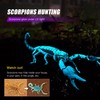 Black Light Flashlight 365NM UV Flashlight TactEagle UVA_T3 for Pet