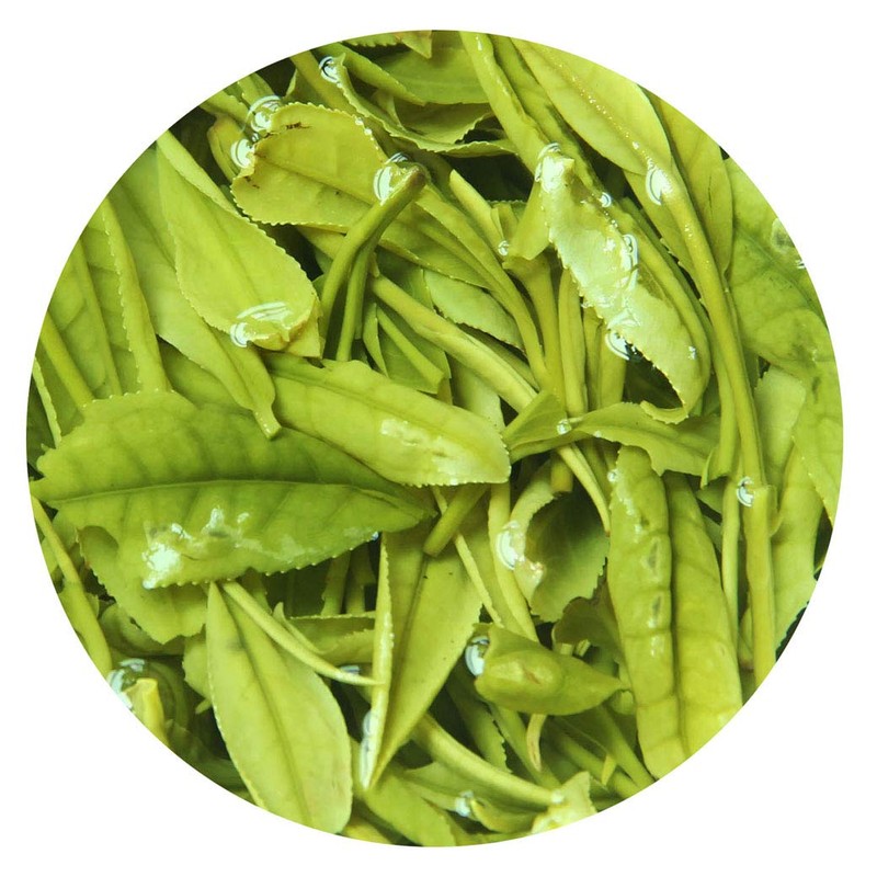GOARTEA Green Tea 50g / 1.76oz Premium Anji White Tea