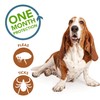 Vet's Best Flea and Tick Spot-on Drops | Topical Flea