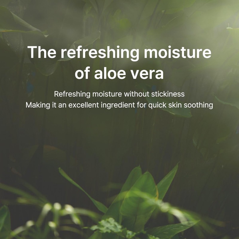 B : Lab [B : Lab]Ji-chi Hydro Boost Layer Serum