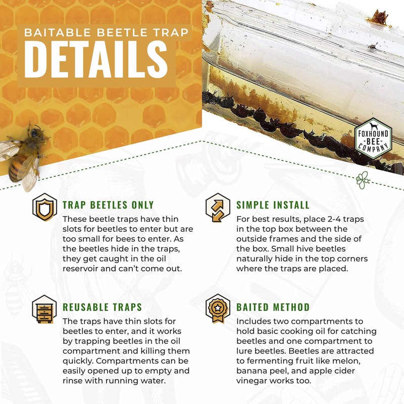 New Reusable Extra Long Beetle Trap with Completely Removable Top