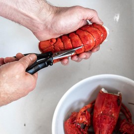 De Buyer 4685.00 Lobster Scissors with Plastic Handle Stainless Steel Black and Grey 20.7 x 6.5 x 1.5 cm
