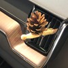 Lady Pinecone - aromatherapy kit in the car with 1
