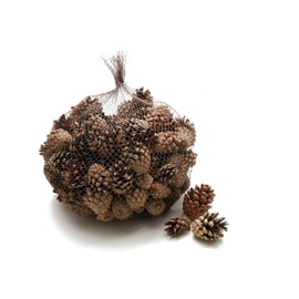 NaDeco Sylvestris-Zapfen, verpackt mit 1 kg, ca. 150 Stück | Waldkiefer-Zapfen | Pinus sylvestris | Kieferzapfen | Tannenzapfen | Zapfen-Deko | Fichtenzapfen | Deko-Zapfen | Zapfen zum Basteln