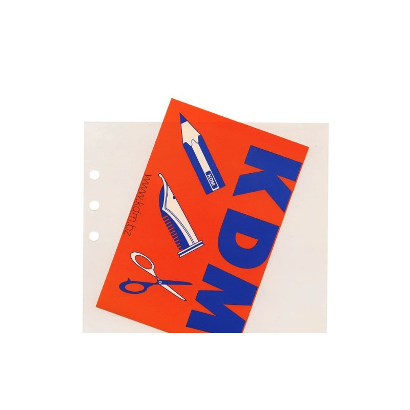 レイメイ藤井 ダヴィンチ リフィル P.Pポケット A5サイズ DAR320