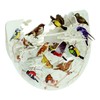 SANTORO Popnrock, 3D Pop Up Greeting Card - Garden Birds