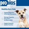 Probios for Dogs Soft Chews, Probiotics for Dogs, Daily Supplement