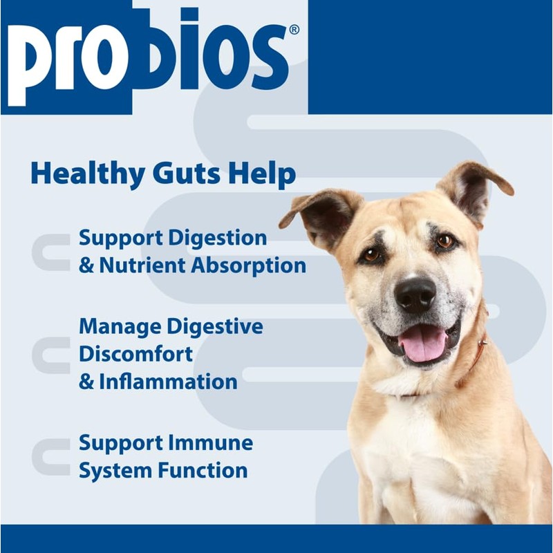 Probios for Dogs Soft Chews, Probiotics for Dogs, Daily Supplement