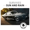 CAR GUYS Plastic Restorer - Revive Your Car's Surfaces!