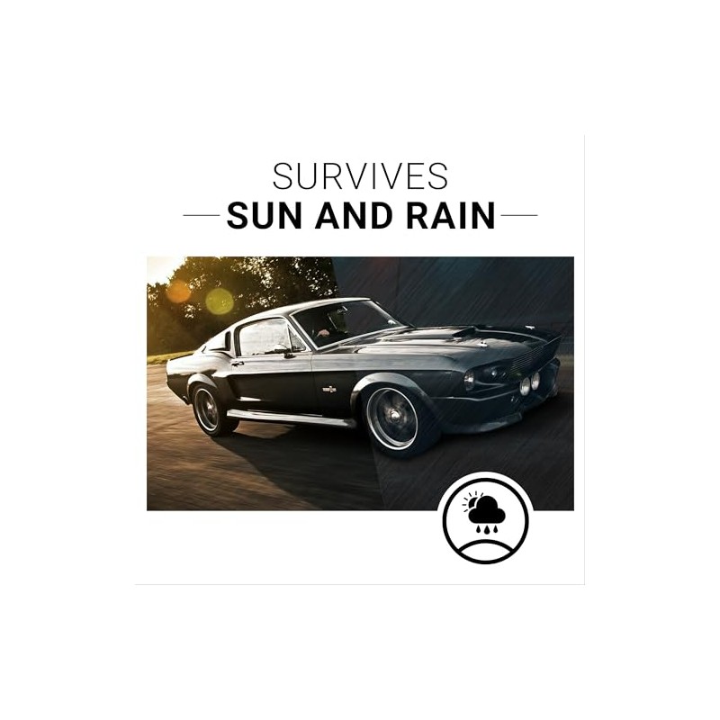 CAR GUYS Plastic Restorer - Revive Your Car's Surfaces!