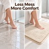 50cm x 80cm Water Absorbent Non-Slip Bathroom Mat – Thick