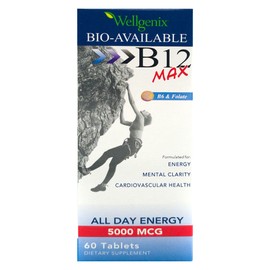 Wellgenix Bio-Available Sublingual B12 B6 Folate Vitamin Formulated for High Absorption - Nutritional Multivitamin Supplement (60 ct) 1 Pack