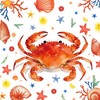 CC HOME Crab Birthday Paper Plates Napkins Starfish Shell Conch