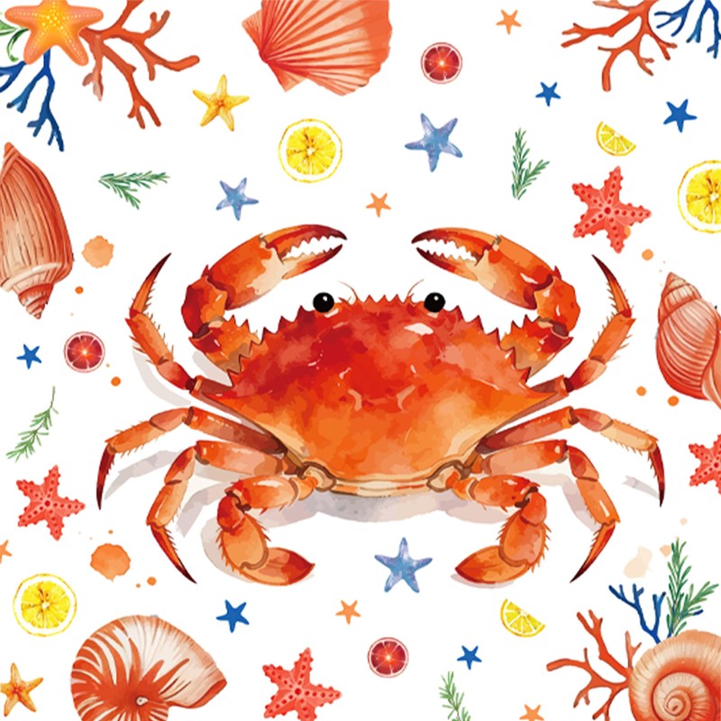 CC HOME Crab Birthday Paper Plates Napkins Starfish Shell Conch