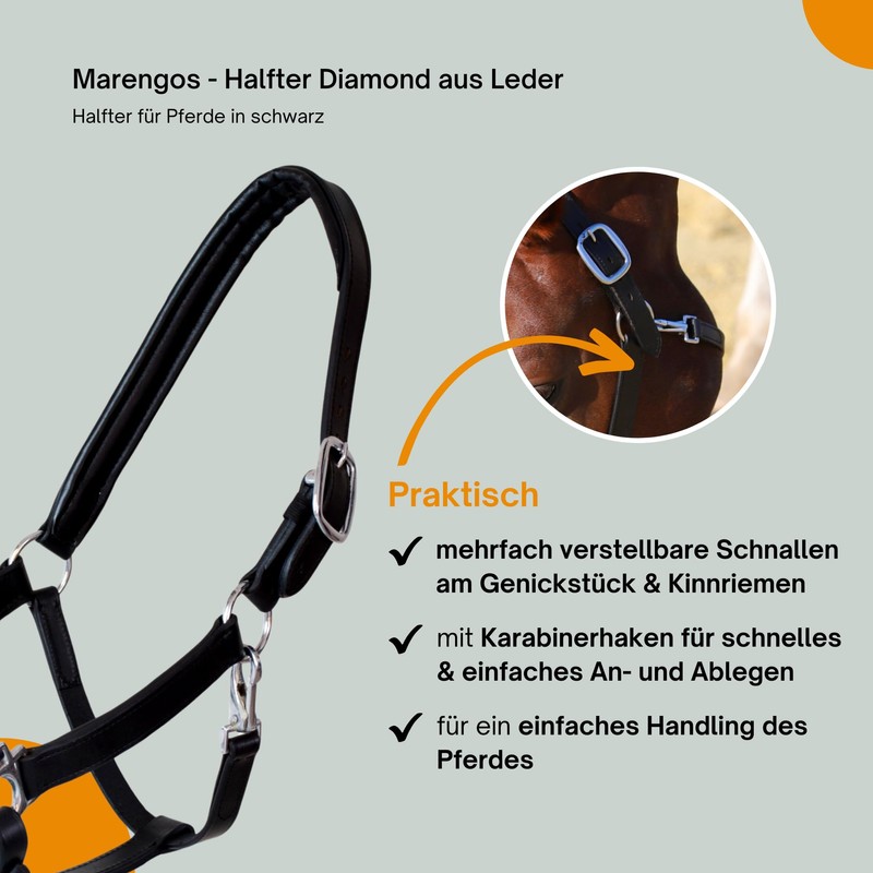 Marengos - Diamond Leather Headcollar | Halter for Horses |