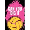 Damdekoli Volleyball Posters - 11x17 Inches, Set