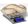 Vivarium Electronics DS-6000 Digital Scale (Reptile Basics)