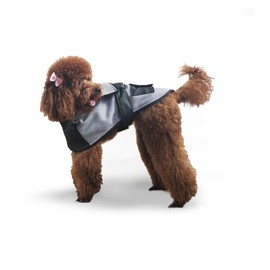 Black Dog Coat (X-Small), Clothes for Small Paws, Dogs Spring Break, Chihuahua