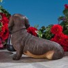ATCS Realistic Dachshund Dog Puppy Garden Sculpture Holding Solar LED