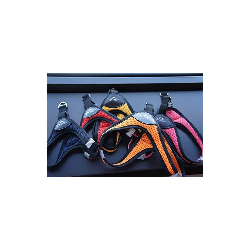 Hakusan First Harness Turquoise Size 3