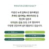 살므시 유기농 컬리케일 곱슬케일 60 정 x 1개 Salmsi Organic