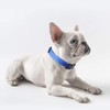 HEELE Dog Collar, Reflective Dog Collar, Soft Neoprene Padded Breathable