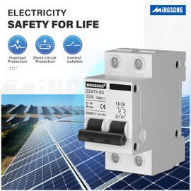 MINGSONG DC Solar Panels Disconnect Switch 32 Amp Solar Shut Off Switch 1000V 2 Poles Small Miniature Circuit Breaker for PV Homes