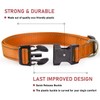 Reflective Dog Collar with Buckle Adjustable Safety Nylon Collars for