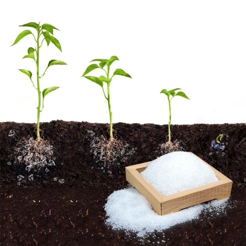 Super Absorbent Polymer Helps Plant Growth and Plant Establishment (5