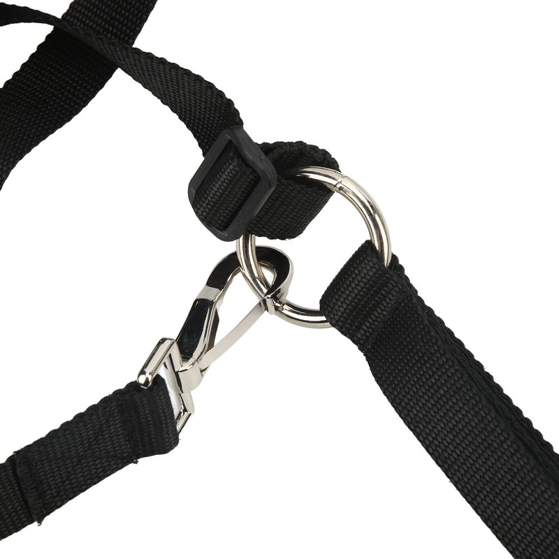 Black Horse Grazing Muzzle Easy Breathe Horse Mouth Cover with